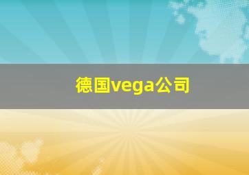 德国vega公司