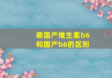 德国产维生素b6和国产b6的区别