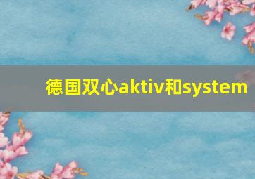 德国双心aktiv和system