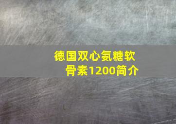 德国双心氨糖软骨素1200简介