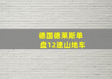 德国德莱斯单盘12速山地车