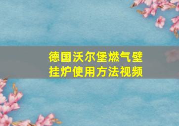 德国沃尔堡燃气壁挂炉使用方法视频