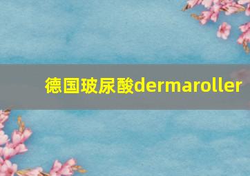 德国玻尿酸dermaroller