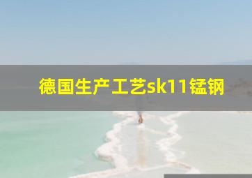 德国生产工艺sk11锰钢