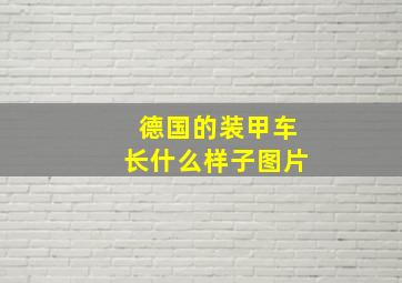 德国的装甲车长什么样子图片