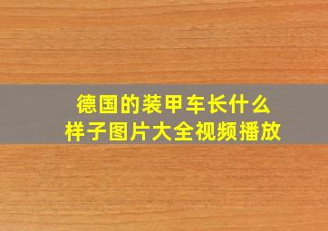 德国的装甲车长什么样子图片大全视频播放