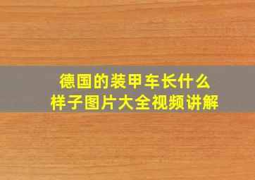 德国的装甲车长什么样子图片大全视频讲解