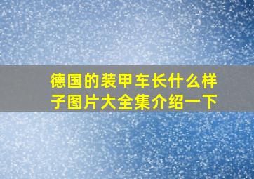 德国的装甲车长什么样子图片大全集介绍一下