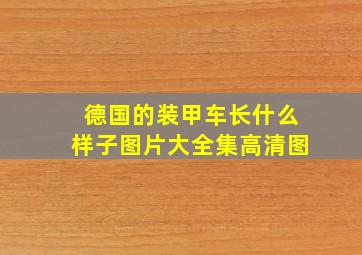 德国的装甲车长什么样子图片大全集高清图