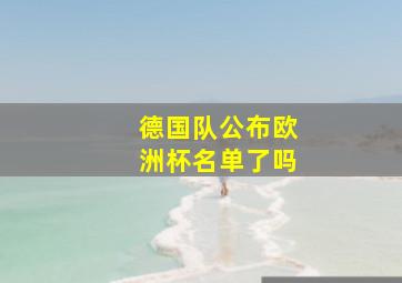 德国队公布欧洲杯名单了吗