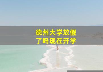 德州大学放假了吗现在开学