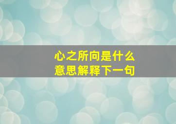 心之所向是什么意思解释下一句