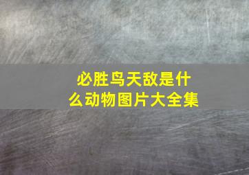 必胜鸟天敌是什么动物图片大全集