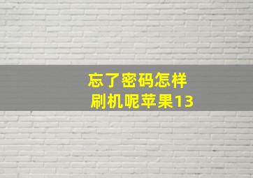 忘了密码怎样刷机呢苹果13