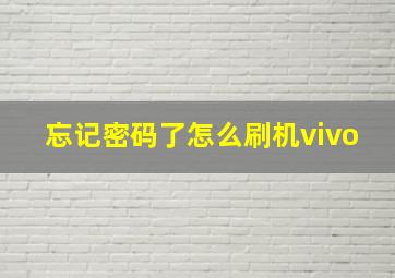 忘记密码了怎么刷机vivo