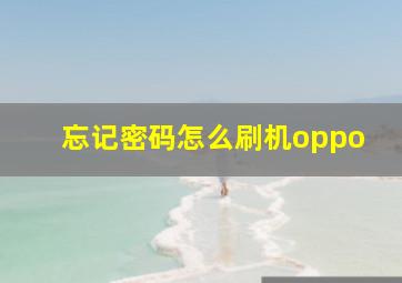 忘记密码怎么刷机oppo