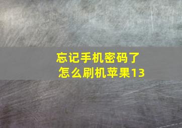 忘记手机密码了怎么刷机苹果13