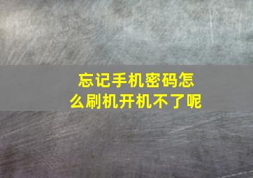 忘记手机密码怎么刷机开机不了呢