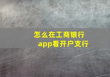 怎么在工商银行app看开户支行