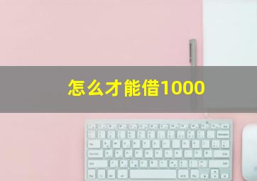 怎么才能借1000