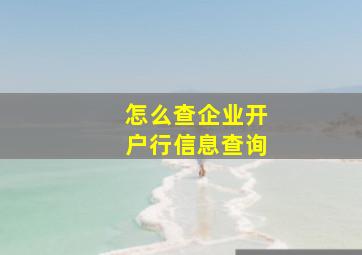 怎么查企业开户行信息查询