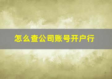 怎么查公司账号开户行