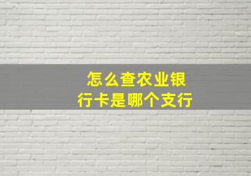 怎么查农业银行卡是哪个支行