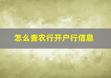 怎么查农行开户行信息