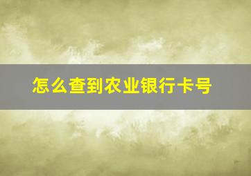 怎么查到农业银行卡号