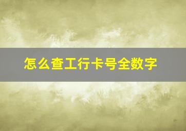 怎么查工行卡号全数字