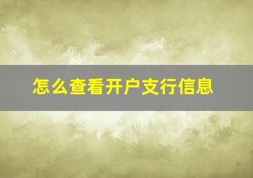 怎么查看开户支行信息