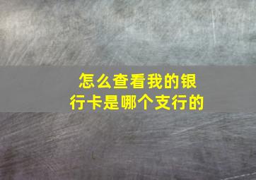 怎么查看我的银行卡是哪个支行的