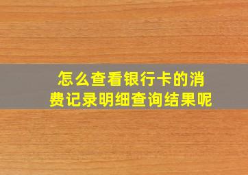 怎么查看银行卡的消费记录明细查询结果呢