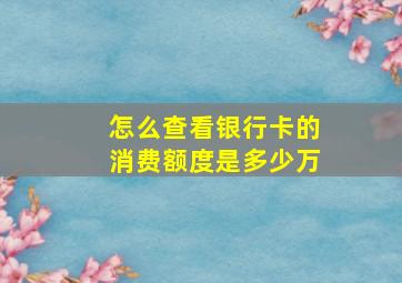 怎么查看银行卡的消费额度是多少万