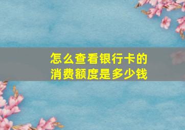 怎么查看银行卡的消费额度是多少钱