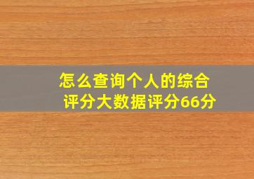 怎么查询个人的综合评分大数据评分66分