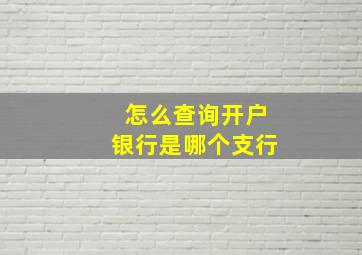 怎么查询开户银行是哪个支行