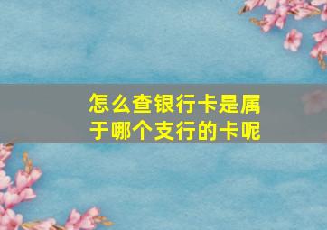 怎么查银行卡是属于哪个支行的卡呢