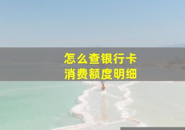 怎么查银行卡消费额度明细