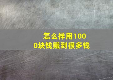 怎么样用1000块钱赚到很多钱