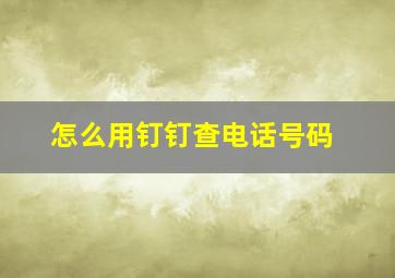 怎么用钉钉查电话号码