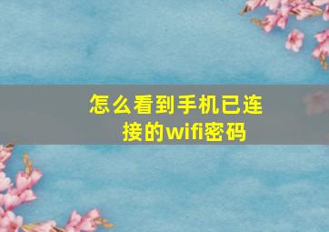 怎么看到手机已连接的wifi密码