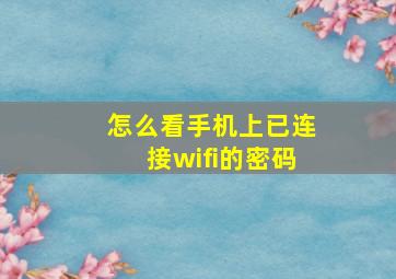 怎么看手机上已连接wifi的密码