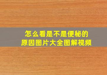 怎么看是不是便秘的原因图片大全图解视频