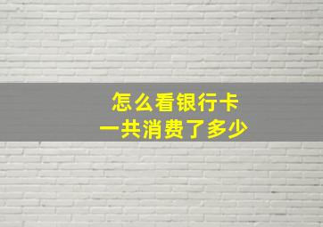 怎么看银行卡一共消费了多少