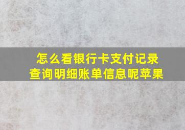 怎么看银行卡支付记录查询明细账单信息呢苹果