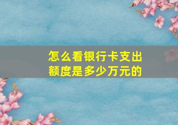 怎么看银行卡支出额度是多少万元的