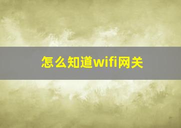 怎么知道wifi网关