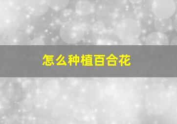 怎么种植百合花