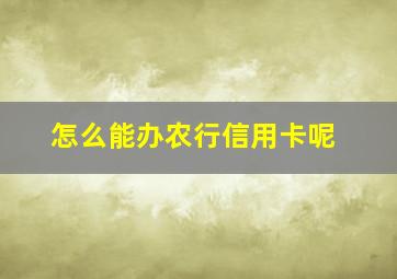 怎么能办农行信用卡呢